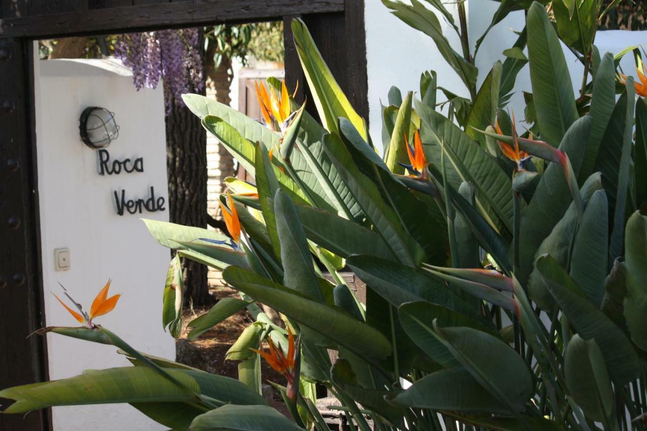Roca Verde, Boutique Bed & Breakfast (Adults Only) Alhaurín de la Torre Exteriér fotografie