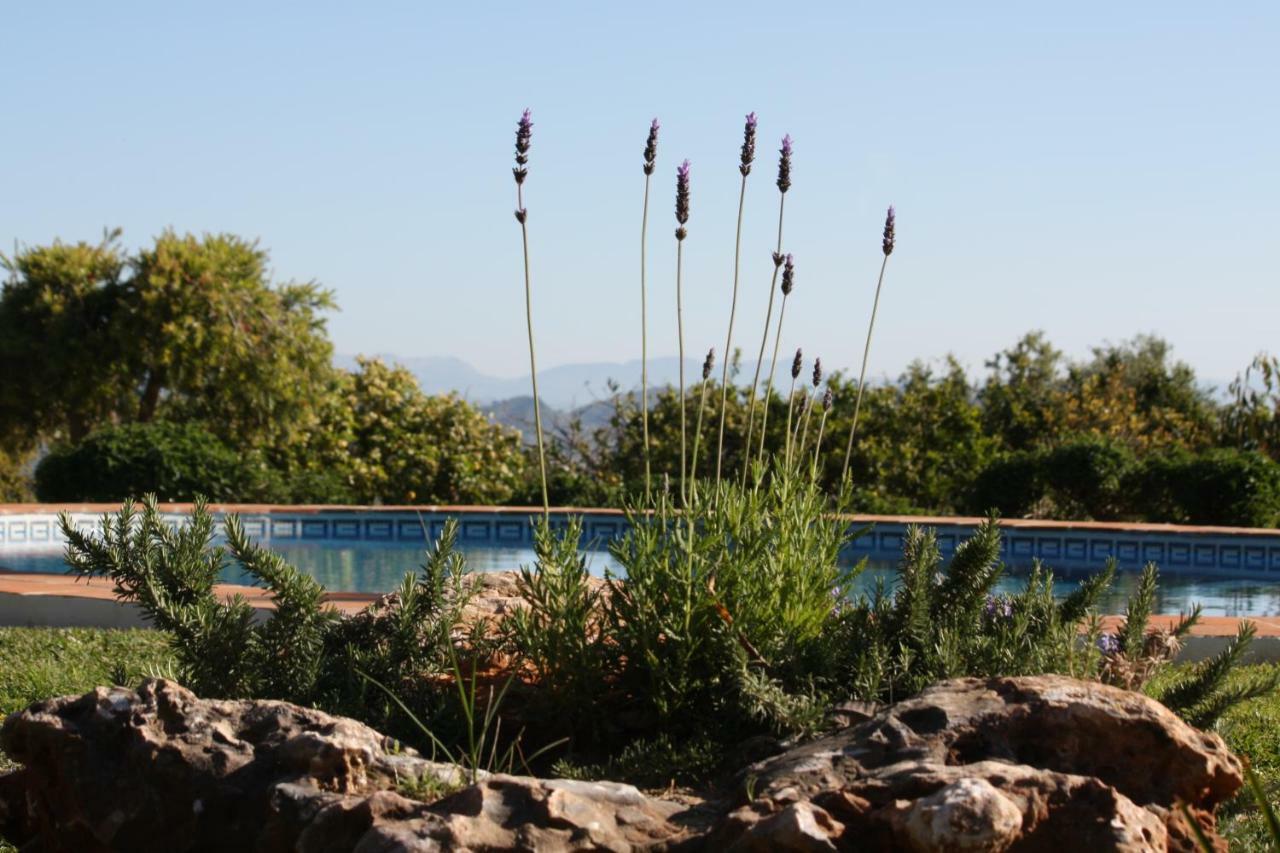 Roca Verde, Boutique Bed & Breakfast (Adults Only) Alhaurín de la Torre Exteriér fotografie